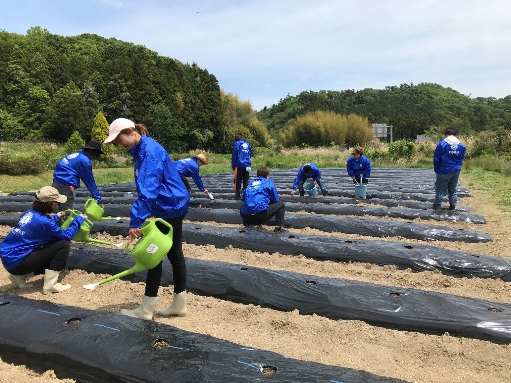 ライオンズ_ピープルコットン②